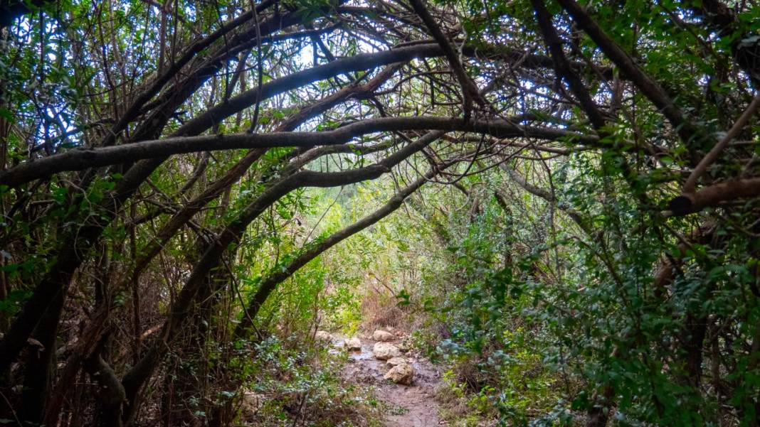 Hem tefekkür hem yürüyüş rotası: Kral Havuzu 3