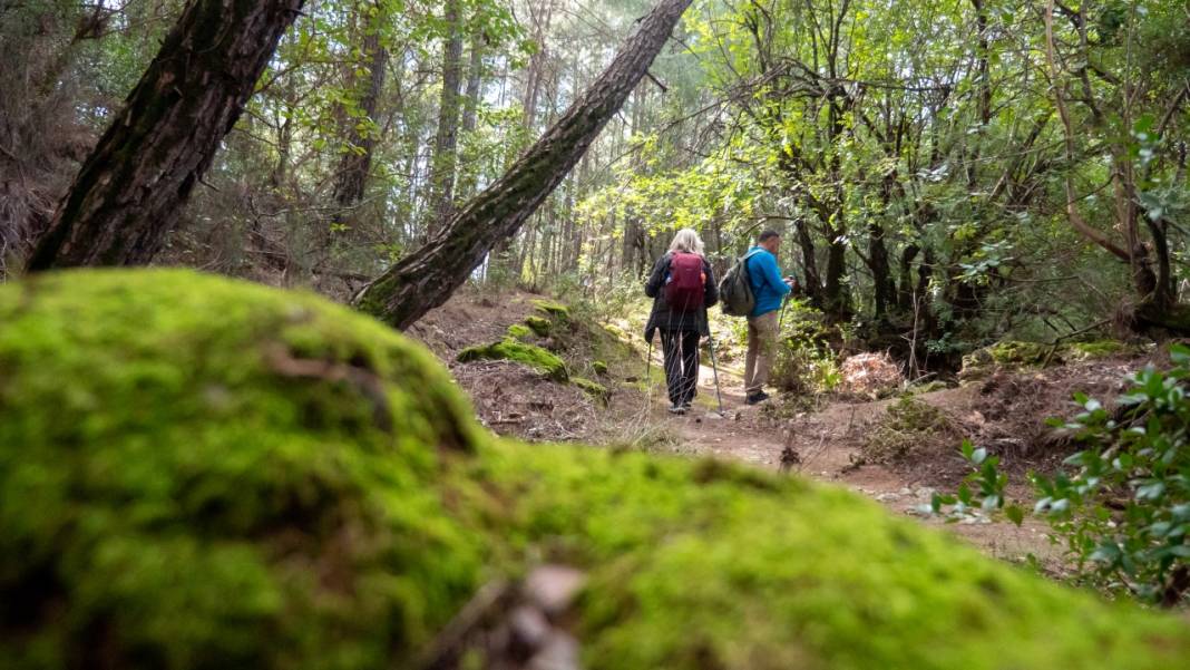 Hem tefekkür hem yürüyüş rotası: Kral Havuzu 7