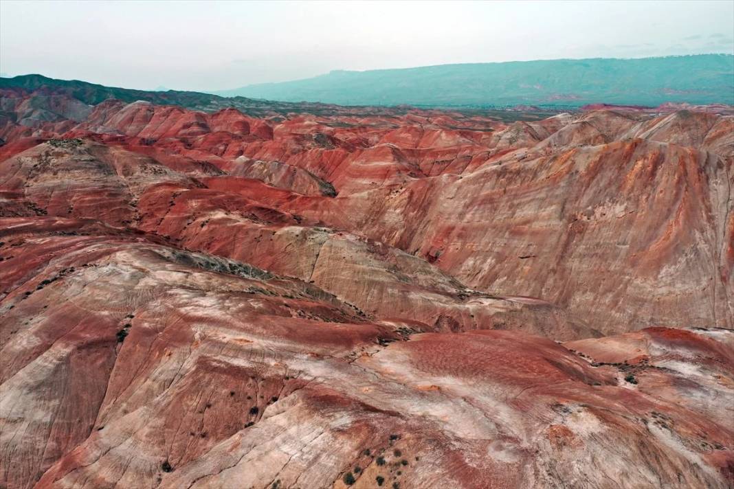 Iğdır'daki Gökkuşağı Tepeleri'nde ilkbahar güzelliği 1