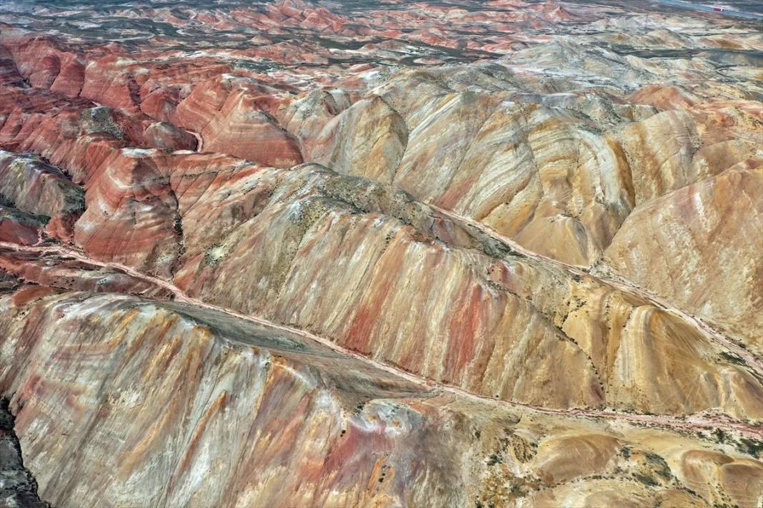 Iğdır'daki Gökkuşağı Tepeleri'nde ilkbahar güzelliği 10