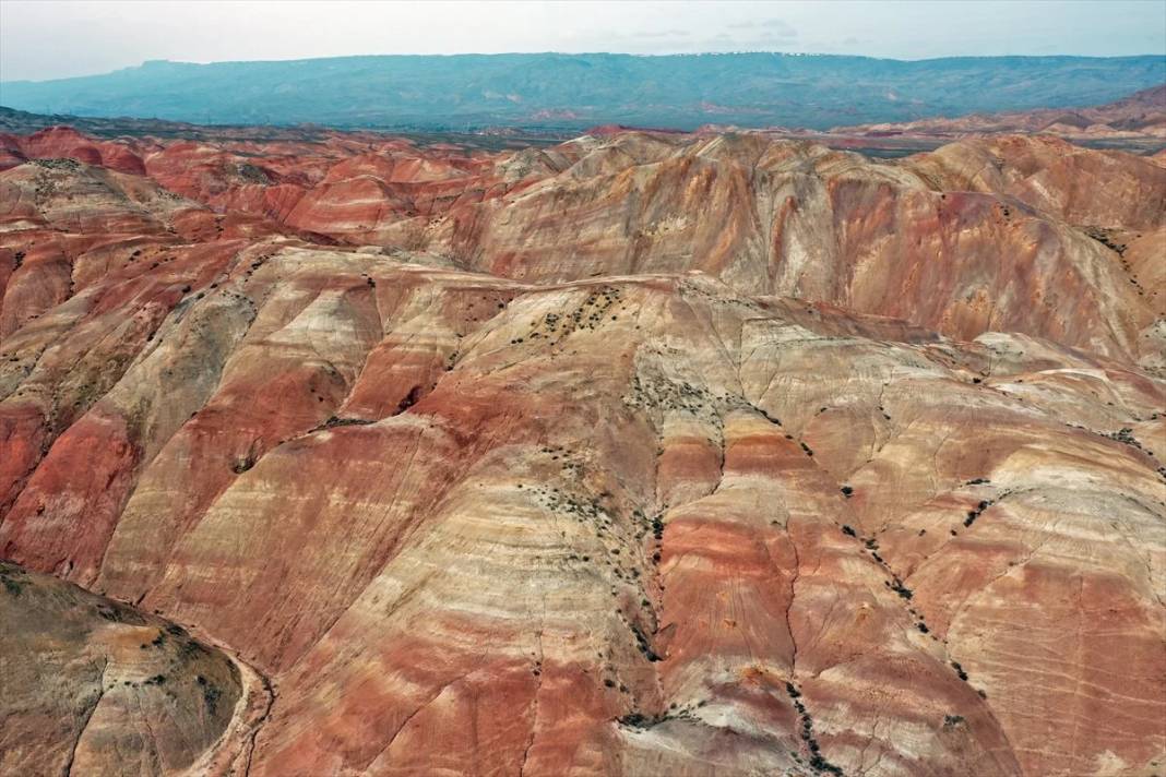Iğdır'daki Gökkuşağı Tepeleri'nde ilkbahar güzelliği 13