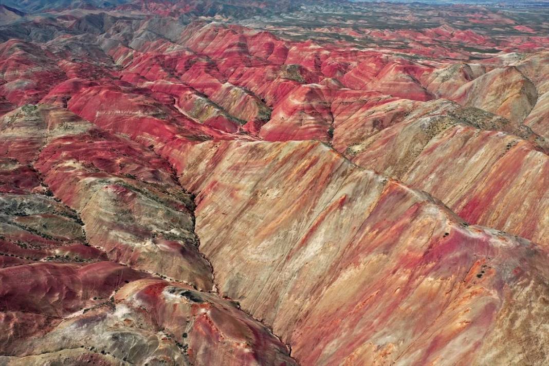 Iğdır'daki Gökkuşağı Tepeleri'nde ilkbahar güzelliği 3