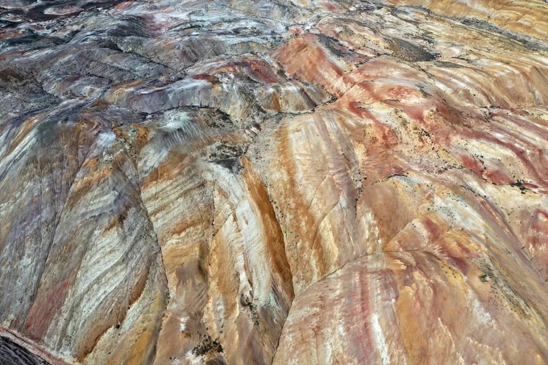 Iğdır'daki Gökkuşağı Tepeleri'nde ilkbahar güzelliği 7