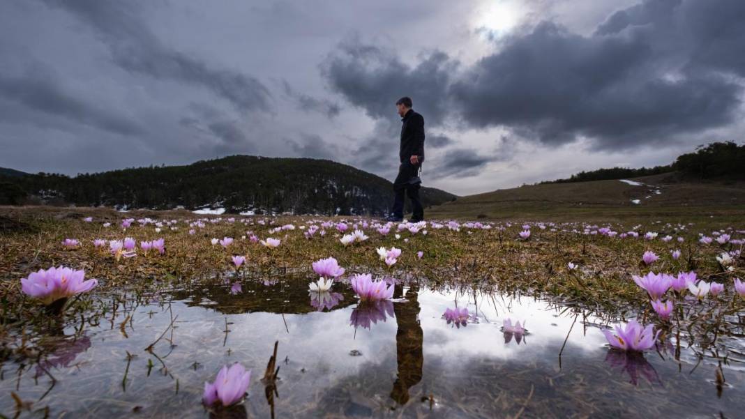 Havanın ısınmasıyla kır çiçekleri ile tabiat renklendi 1