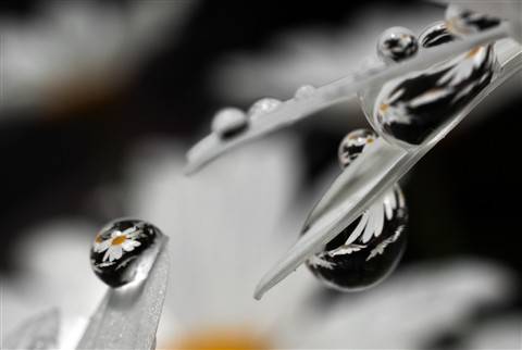 Bu fotoğraflar sanat harikası 10
