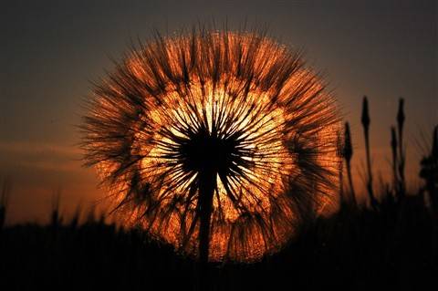 Bu fotoğraflar sanat harikası 28