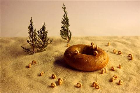 Bu fotoğraflar sanat harikası 58