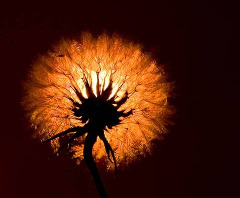 Bu fotoğraflar sanat harikası 59
