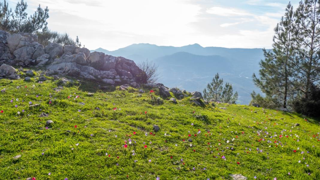 Beydağları'nın kuzey yamaçları yosunlarla renklendi 13