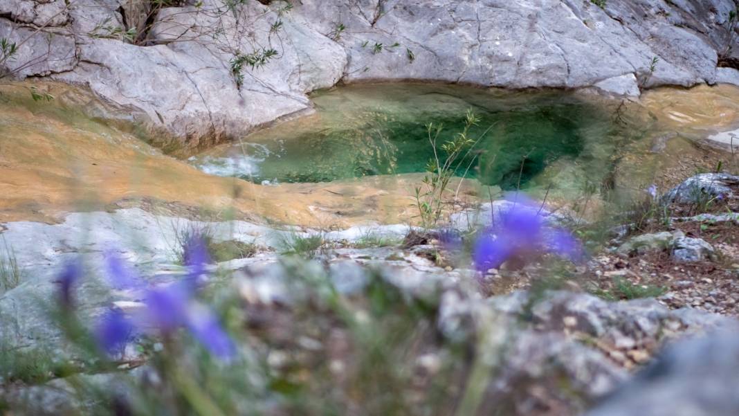 Beydağları'nın kuzey yamaçları yosunlarla renklendi 14