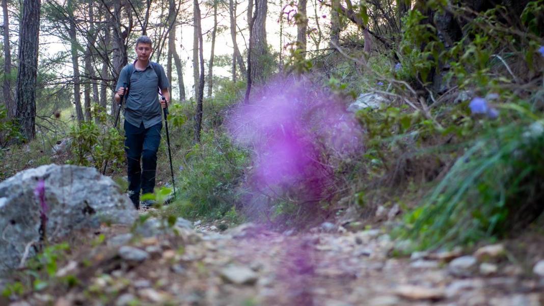 Antalya'da Anadolu orkideleri çiçeklendi 10