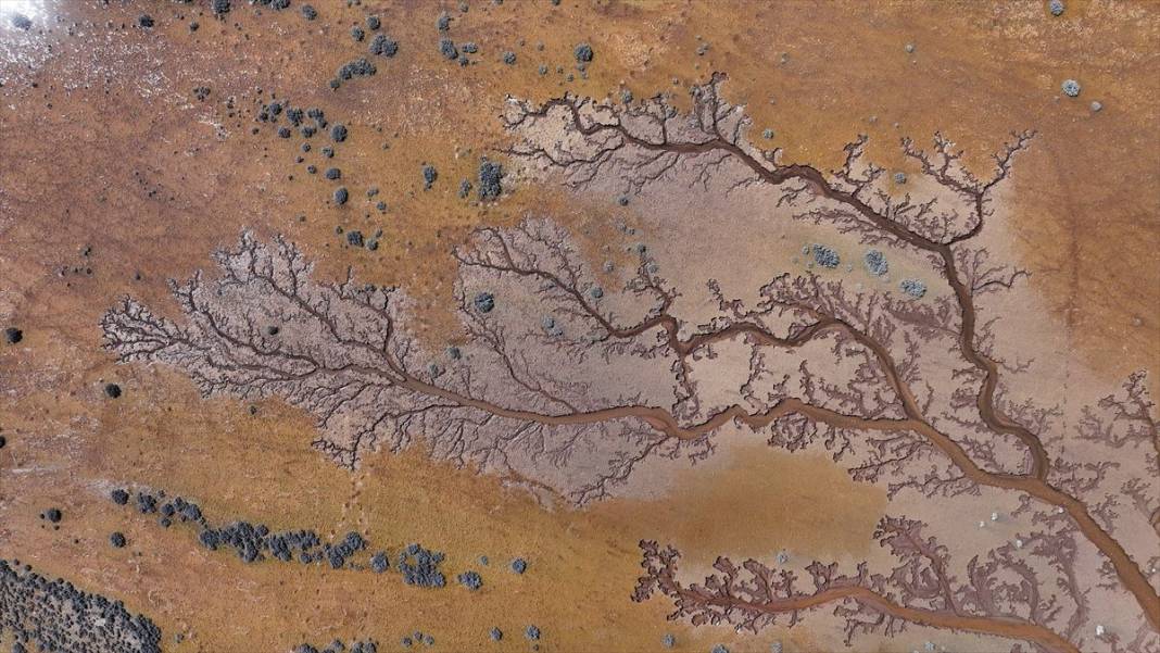 Kayseri'de: Gökten bakınca ağaç, yerden bakınca nehir 4