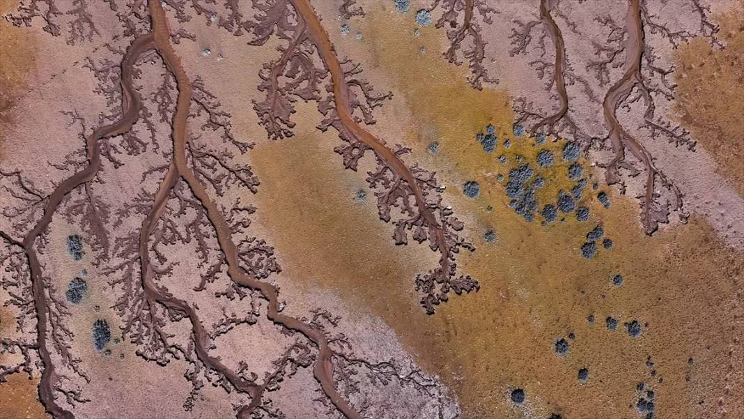 Kayseri'de: Gökten bakınca ağaç, yerden bakınca nehir 5