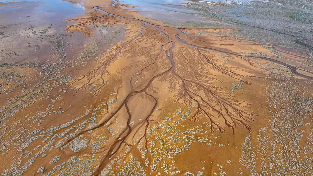 Kayseri'de: Gökten bakınca ağaç, yerden bakınca nehir 6