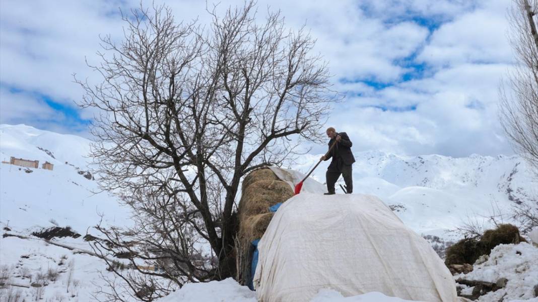 Hakkari'nin bir tarafı bahar diğer tarafı kış 1