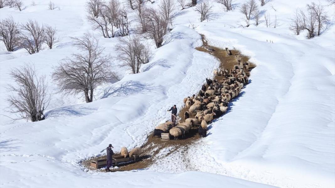 Hakkari'nin bir tarafı bahar diğer tarafı kış 3