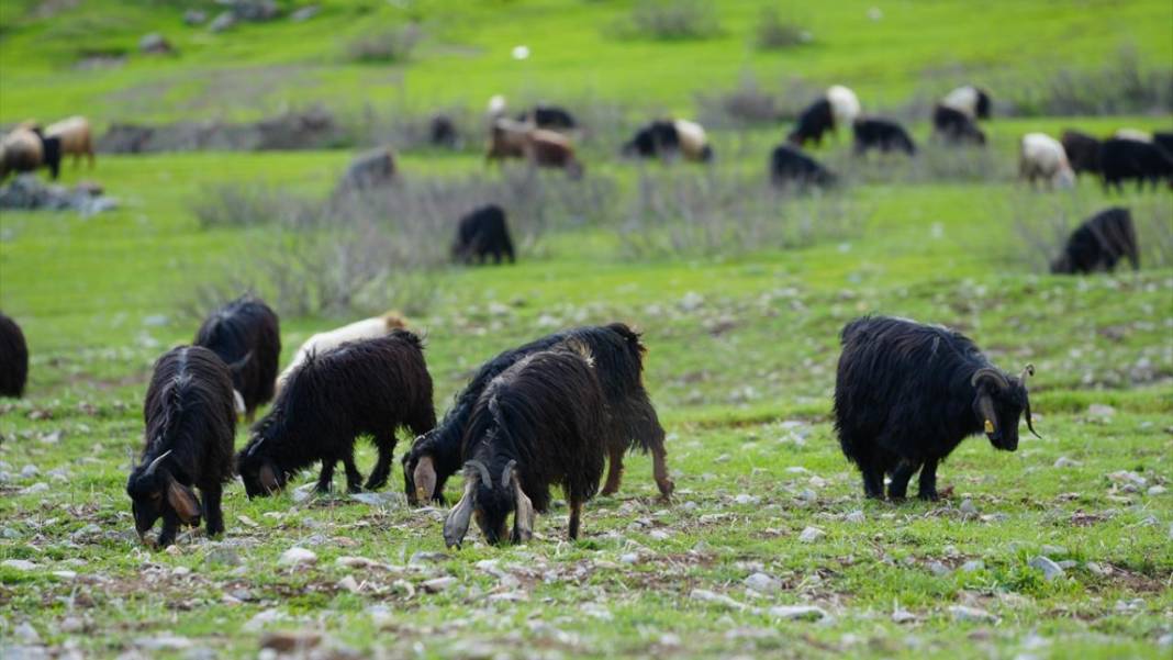 Hakkari'nin bir tarafı bahar diğer tarafı kış 5