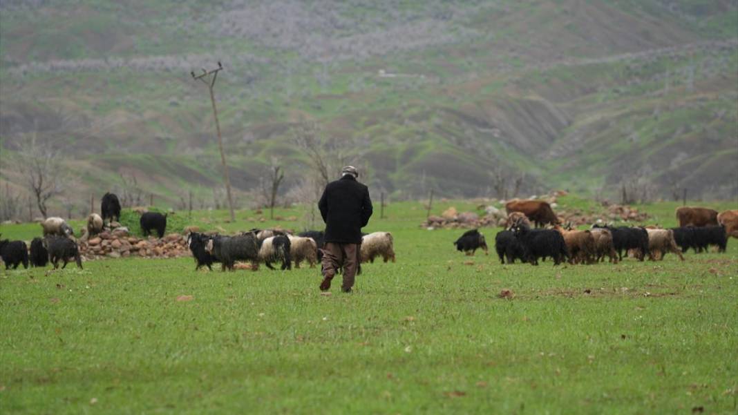 Hakkari'nin bir tarafı bahar diğer tarafı kış 6