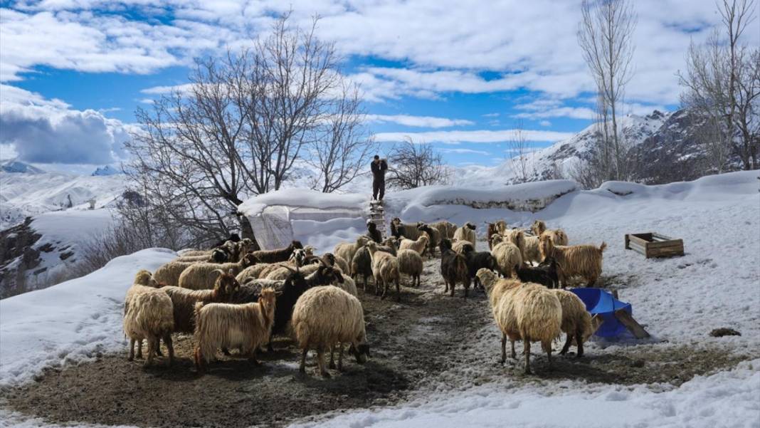 Hakkari'nin bir tarafı bahar diğer tarafı kış 7
