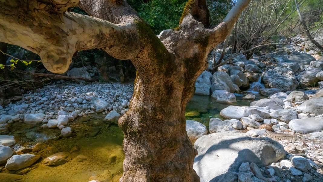 Antalya'nın yanıbaşındaki tefekkür köşesi: Gökdere Şelalesi 13