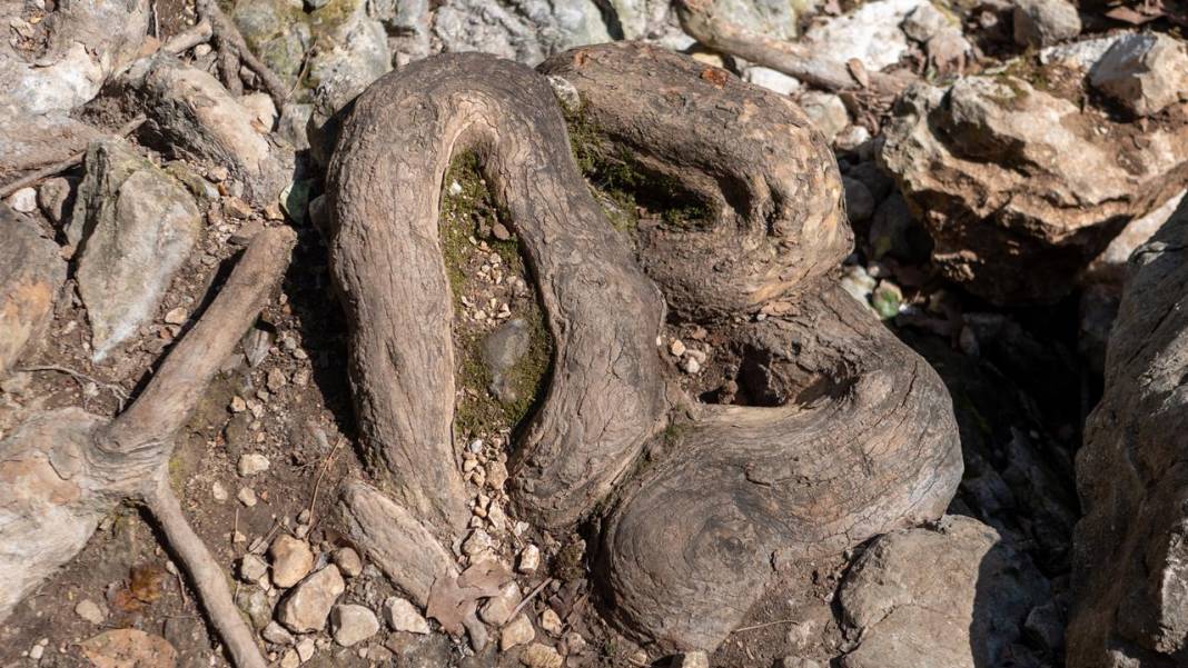 Antalya'nın yanıbaşındaki tefekkür köşesi: Gökdere Şelalesi 3