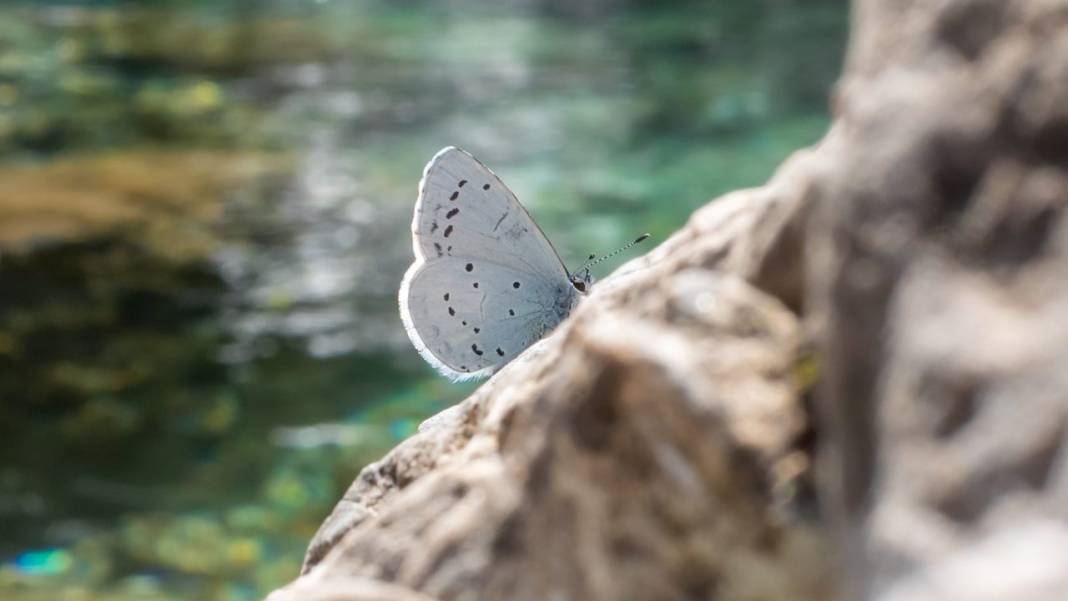 Antalya'nın yanıbaşındaki tefekkür köşesi: Gökdere Şelalesi 8