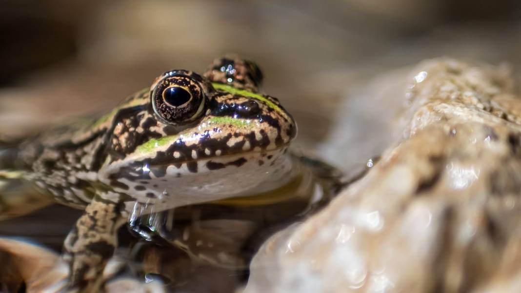Antalya'nın yanıbaşındaki tefekkür köşesi: Gökdere Şelalesi 9