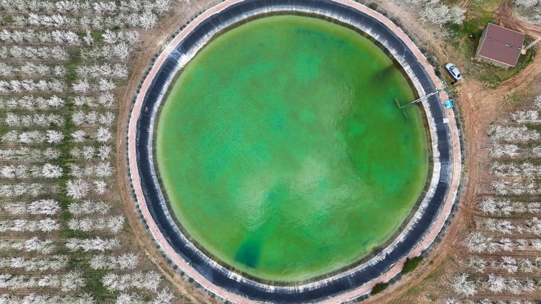 Bahçeler badem çiçekleri ile beyaza boyandı 8