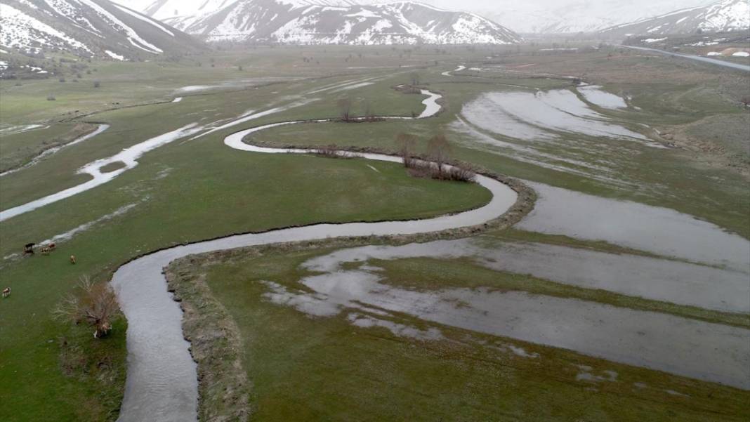 Bitlis'te 'baharın müjdecisi' çiğdemler ile tabiat şenlendi 15