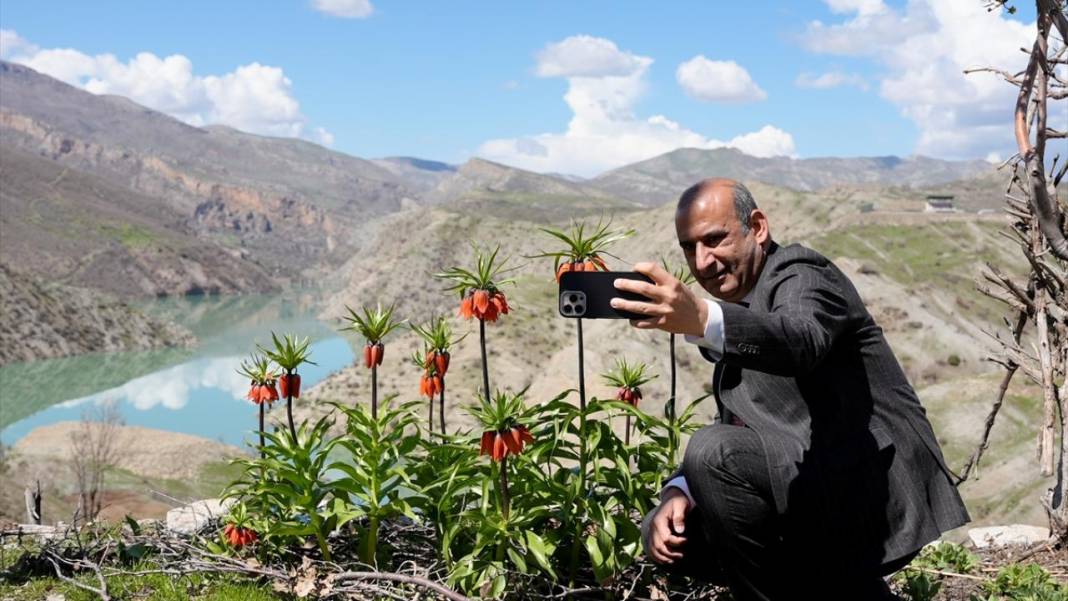 Ters laleler zamanı 10