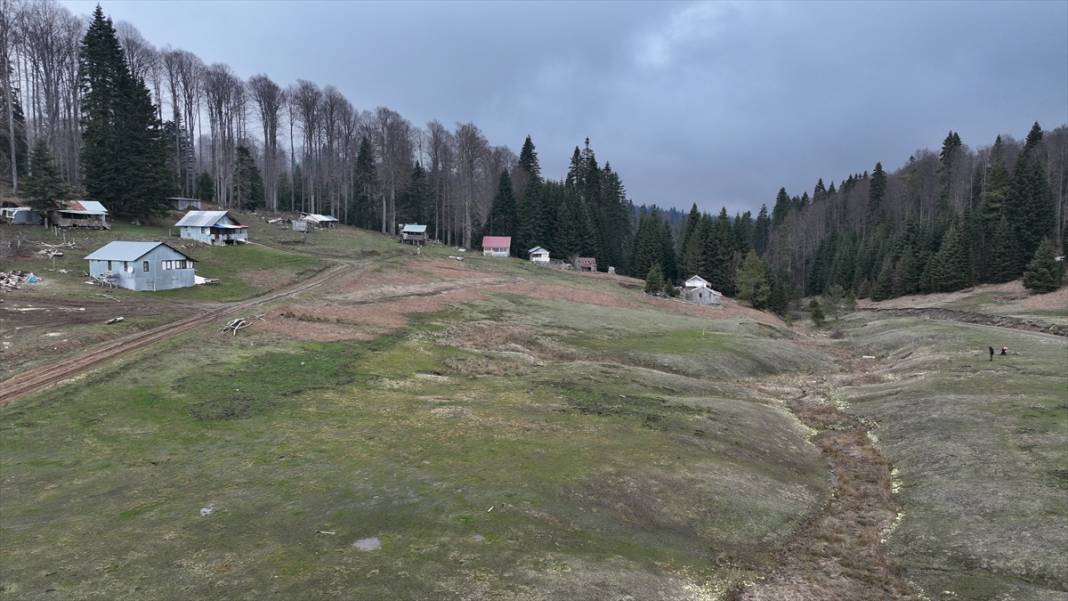 Düzce'nin yaylalarında iki mevsim bir arada 13