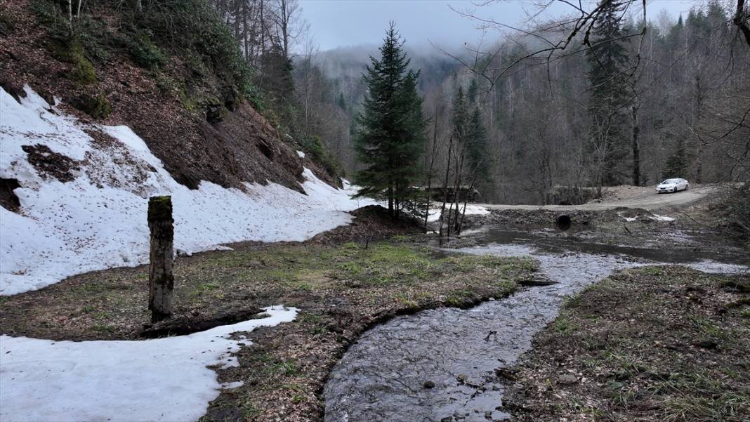 Düzce'nin yaylalarında iki mevsim bir arada 14