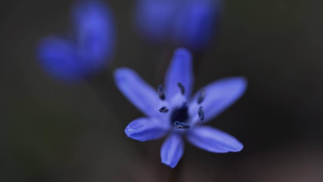 Düzce'nin yaylalarında iki mevsim bir arada 4