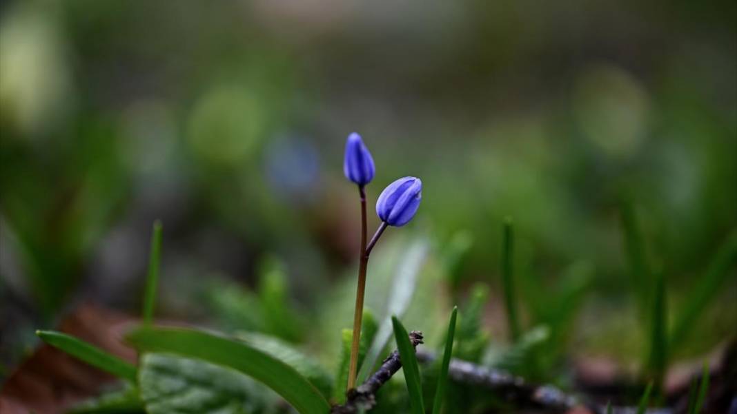 Düzce'nin yaylalarında iki mevsim bir arada 6