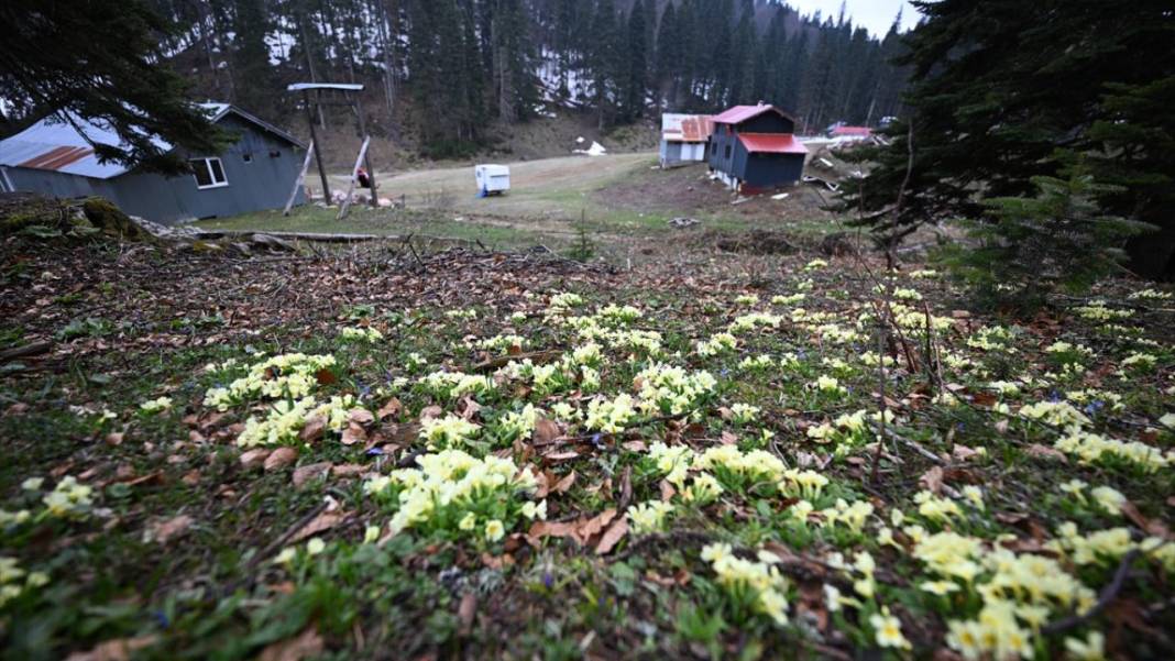 Düzce'nin yaylalarında iki mevsim bir arada 7