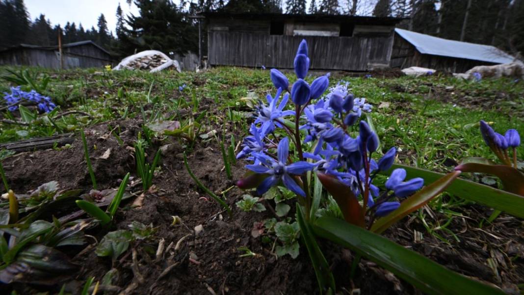 Düzce'nin yaylalarında iki mevsim bir arada 9