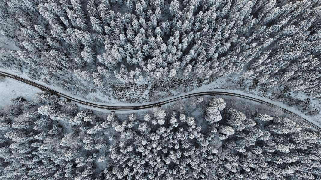 Birçok ilde Nisan ayında beyaz rahmet kar etkili oluyor 18