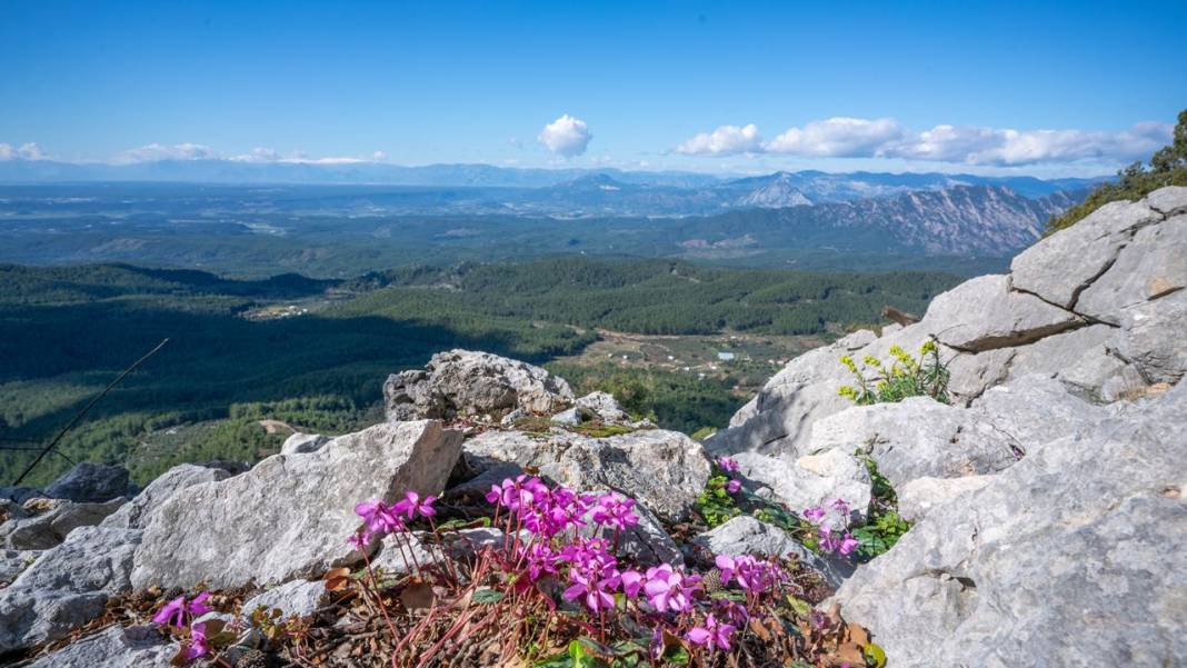 Bodrumkaya Tepesi'nin manzarası 'ruh'a iyi geliyor 6