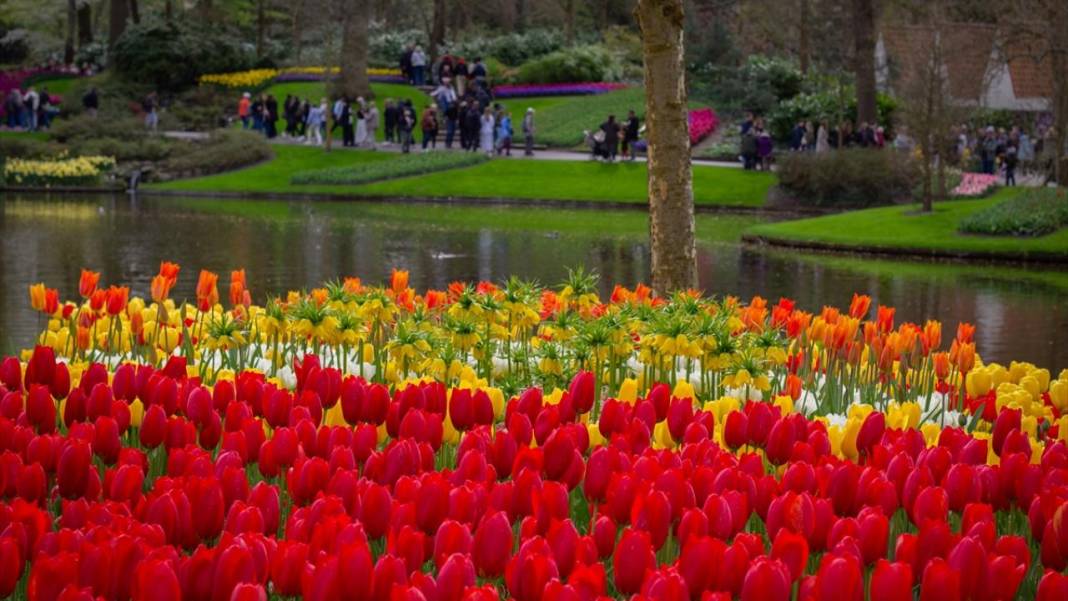 Dünyanın en büyük lale bahçesi ziyarete açıldı 10