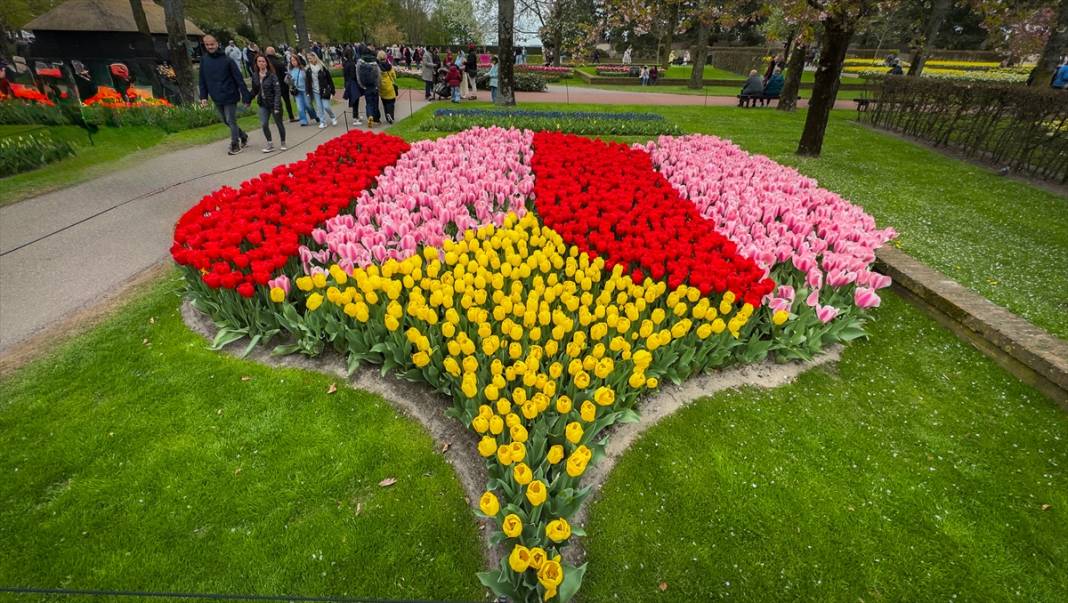 Dünyanın en büyük lale bahçesi ziyarete açıldı 14