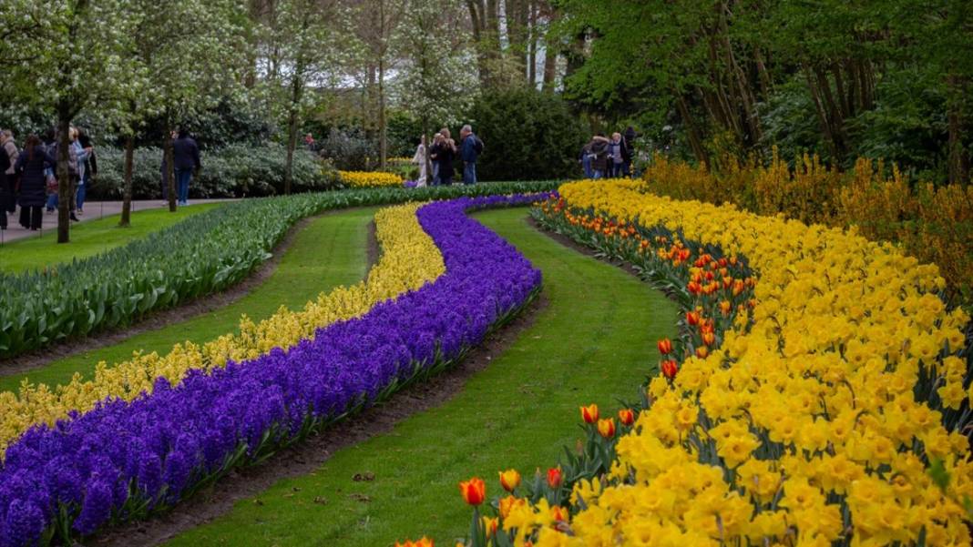 Dünyanın en büyük lale bahçesi ziyarete açıldı 2