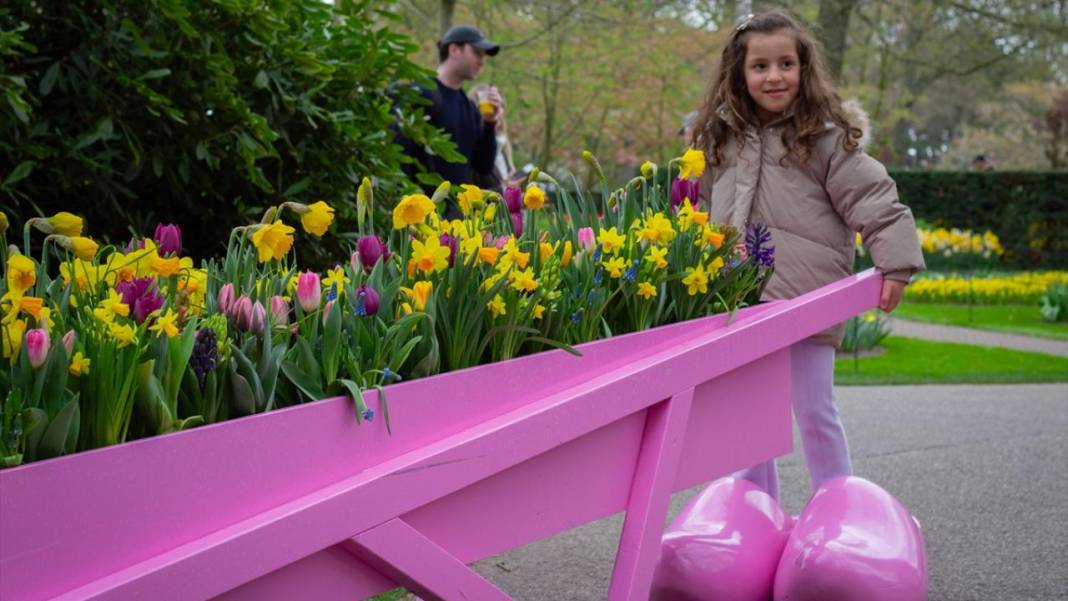 Dünyanın en büyük lale bahçesi ziyarete açıldı 6