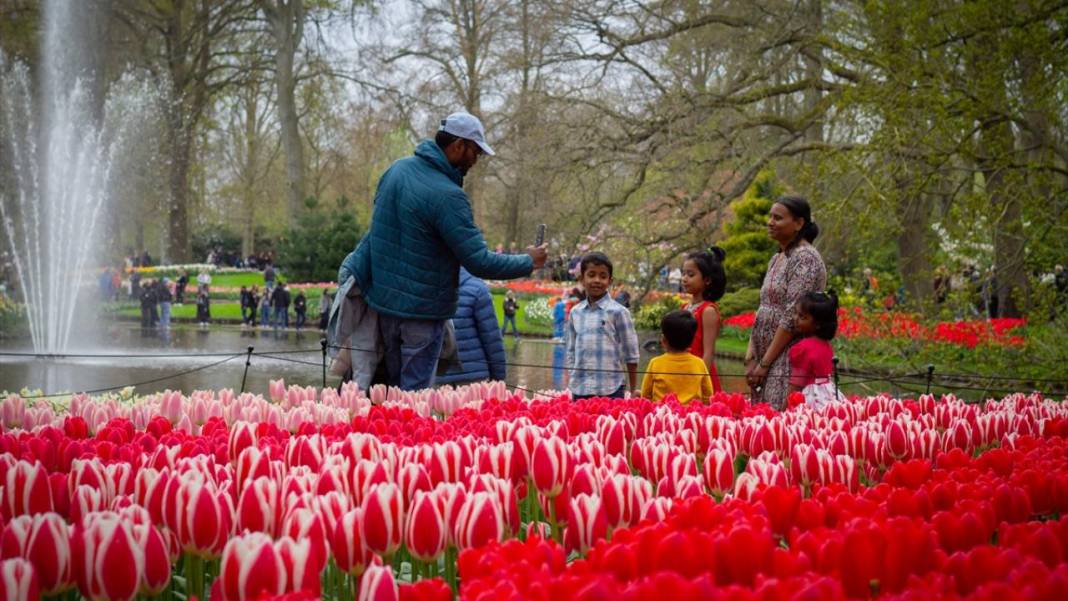 Dünyanın en büyük lale bahçesi ziyarete açıldı 7
