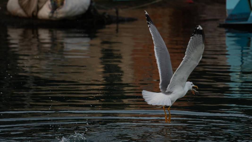 Trabzon'da gün doğumu 8