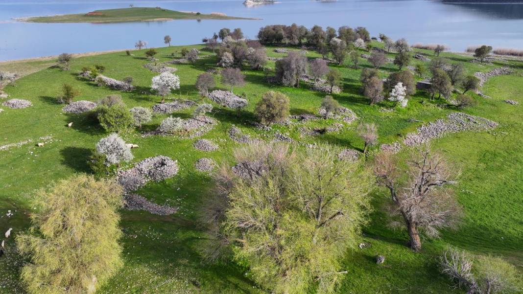 Beyşehir'de bir yanda kış, bir yanda bahar 10