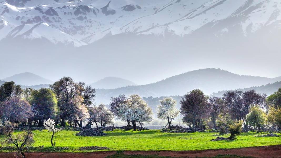 Beyşehir'de bir yanda kış, bir yanda bahar 2