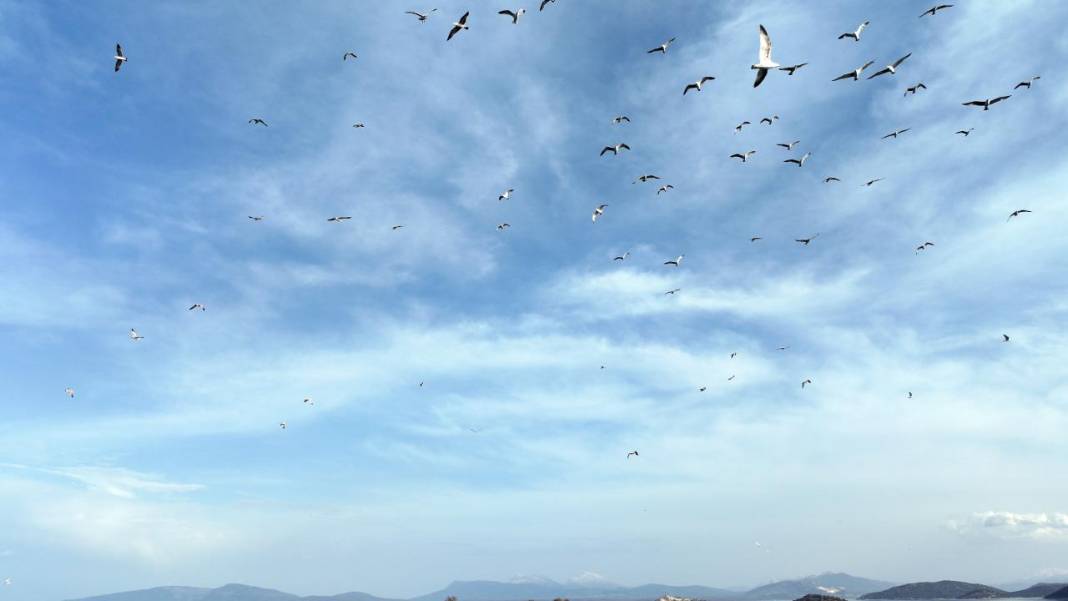 Beyşehir'de bir yanda kış, bir yanda bahar 5