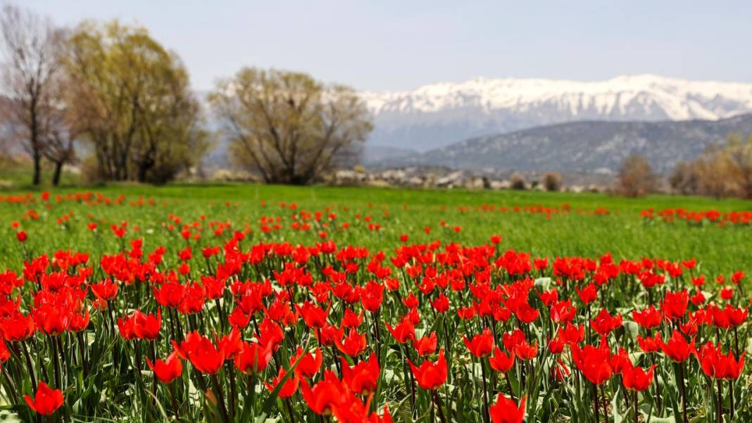 Beyşehir'de bir yanda kış, bir yanda bahar 6