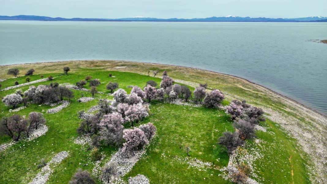 Beyşehir'de bir yanda kış, bir yanda bahar 7