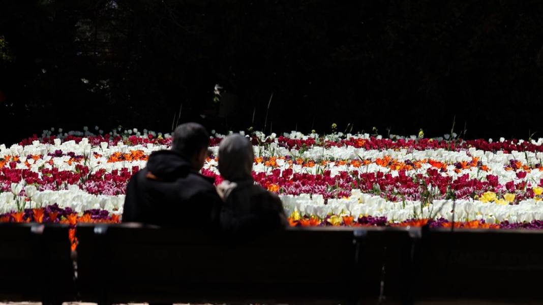 Gaziantep Botanik Bahçesi'nde ilkbahar tefekkürü 1